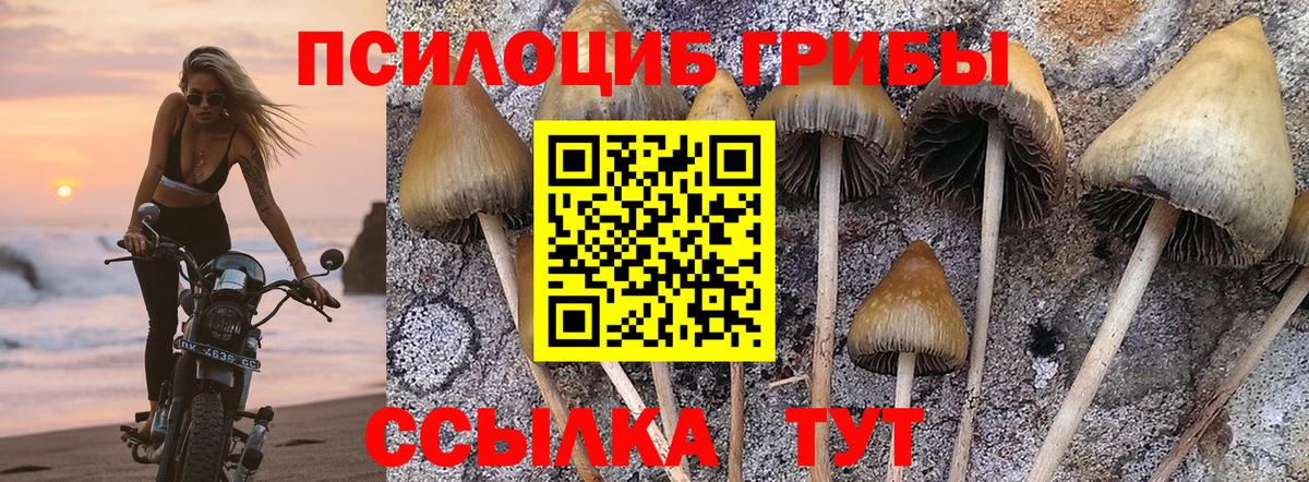 Великие Луки  Галлюциногенные грибы Cubensis  Вход с VPN 